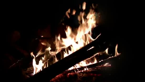 Lagerfeuer brennt schnell — Stockvideo