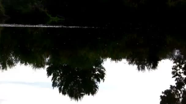 Reflexão de rio de árvores no lado oposto — Vídeo de Stock