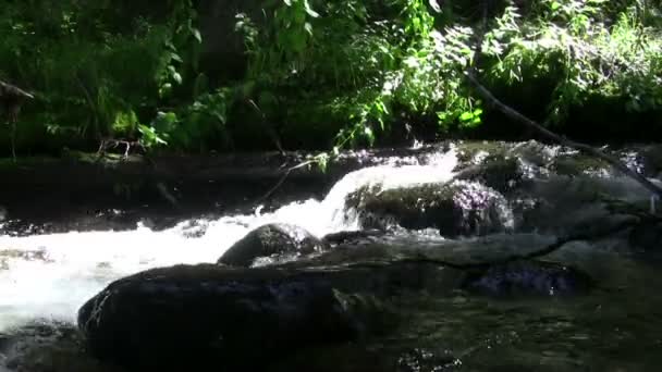 Water flows down creates rippling — Stock Video