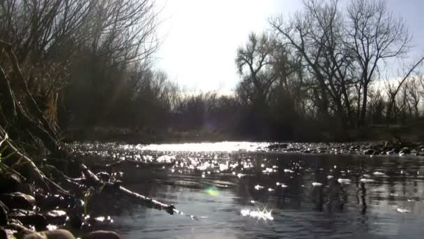 Επιφάνεια νερού Creek — Αρχείο Βίντεο