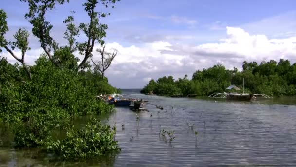 Vissen met ladingen van vangst — Stockvideo