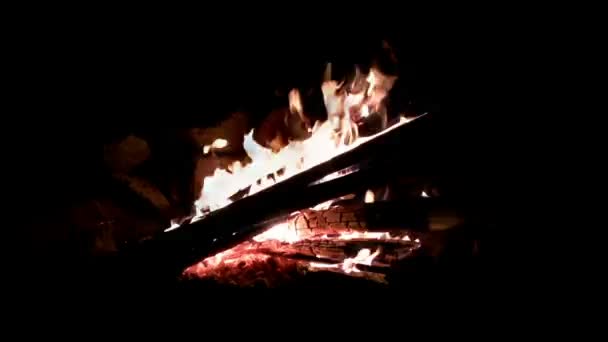 Hızlı yanan kamp ateşi — Stok video
