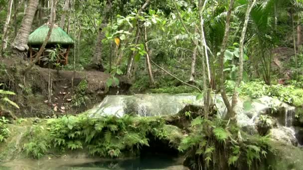 Cabana na floresta tropical verde — Vídeo de Stock