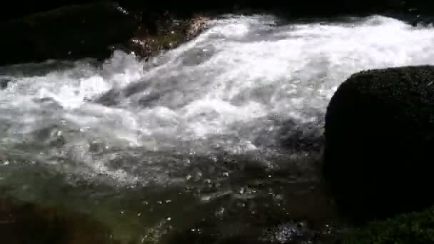 Water flows down creates rippling — Stock Video