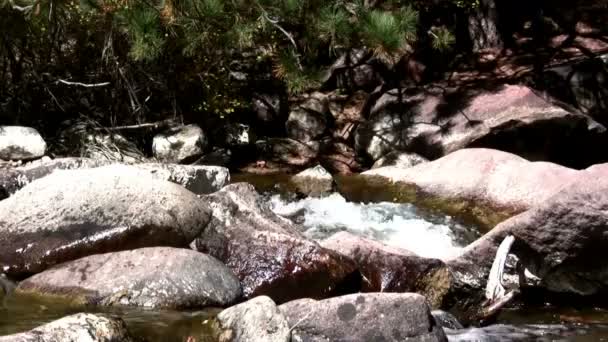 快速流动的小溪 — 图库视频影像