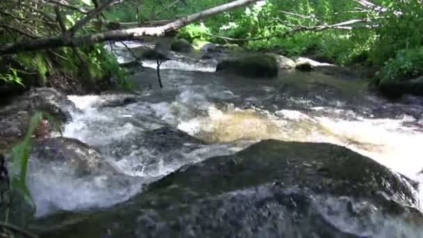 Water rippling over boulders — Stock Video
