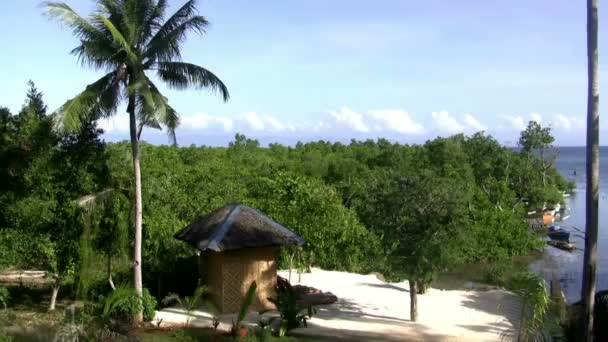 Cabana na floresta tropical verde — Vídeo de Stock