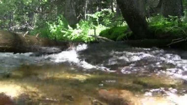 Su akan hızlı hızı