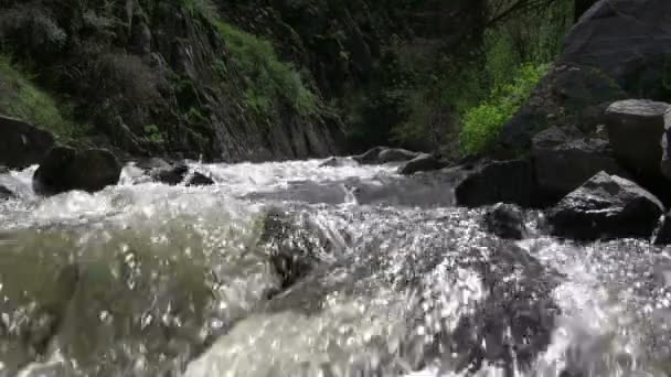 汹涌的山间溪流 — 图库视频影像