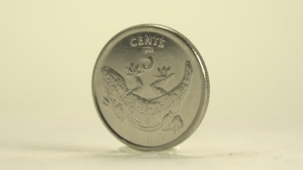 Kiribati 5 Cent — Stockvideo