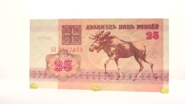 Weißrussische 25 Rubel — Stockvideo