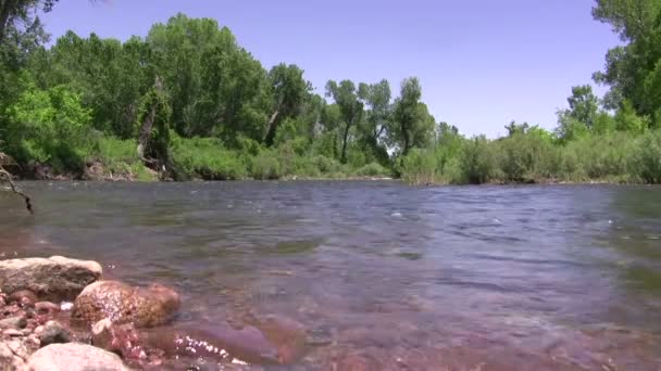 Kar-melt erken Bahar creek at — Stok video