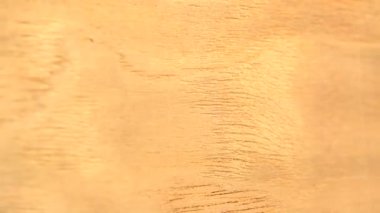 Anigre ahşap arka plan