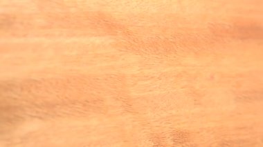 Anigre ahşap arka plan