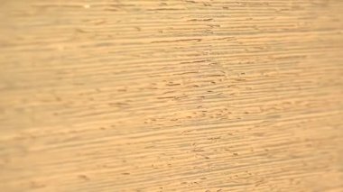 Anigre ahşap arka plan