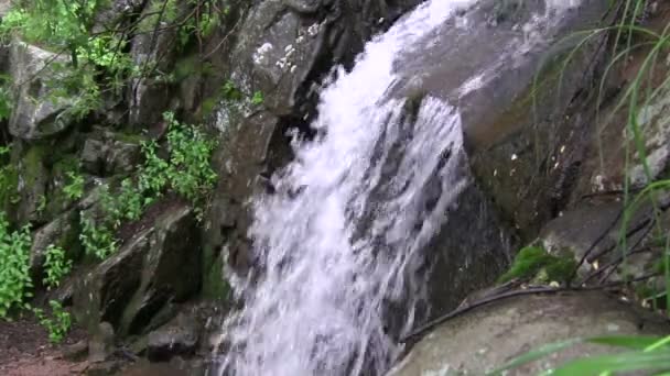 Viewing Rock Waterfall — Stock Video