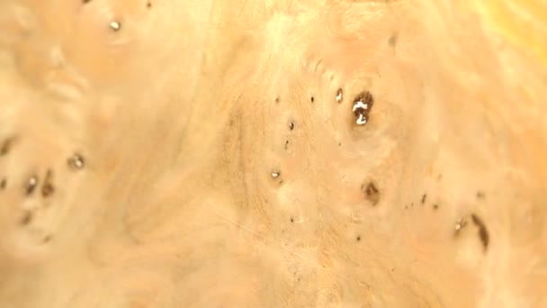 Anigre деревини фон — стокове відео