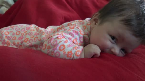 Baby on stomach trying to get up — Stock Video