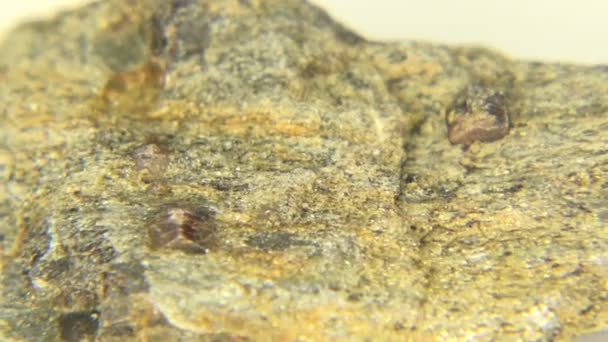 Granate esquisto jaspe mineral — Vídeo de stock