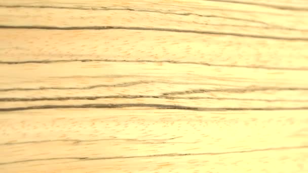 Pedazo de madera de cebra — Vídeos de Stock
