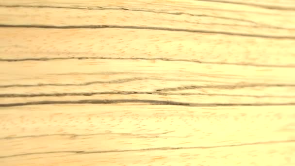 Pezzo di Zebrawood — Video Stock