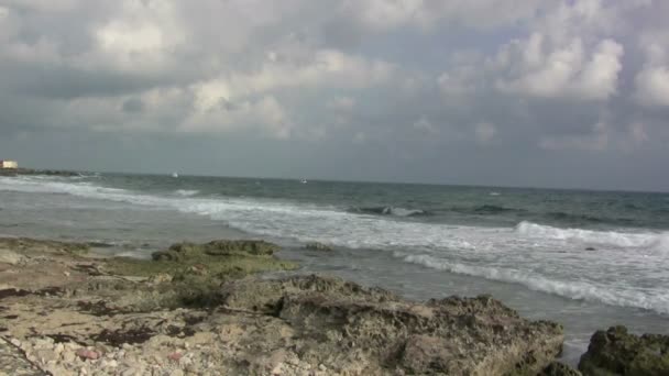 Ocean waves break over a large shore reef — Stock Video