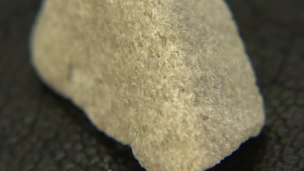 Pumice rock collection — Stock Video