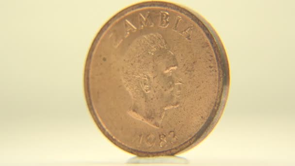 Zwei ngwee Münzen aus Sambia — Stockvideo
