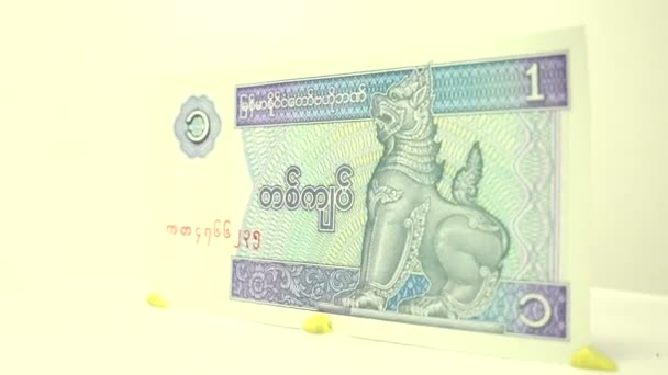 1 Kyat Paper Bill — Stock Video