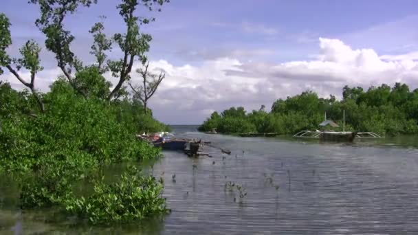 Fiskaren enkel Bay — Stockvideo