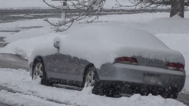 Car Stuck in Snow — Stock Video