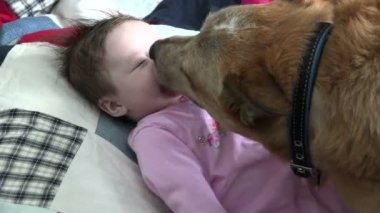 Bir bebek öpüşme köpek