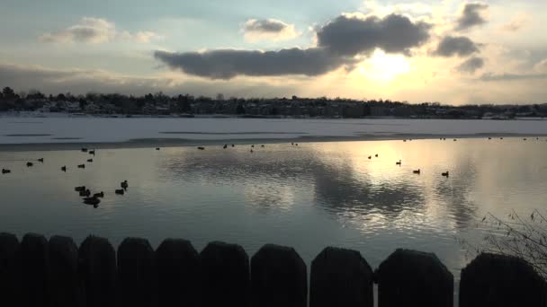 Lago detrás de la valla — Vídeos de Stock