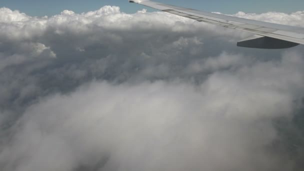 Flugzeug fliegt in den Wolken — Stockvideo