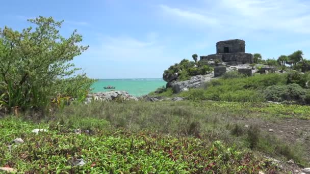 Mayan Ruins in Mexico — Stock Video