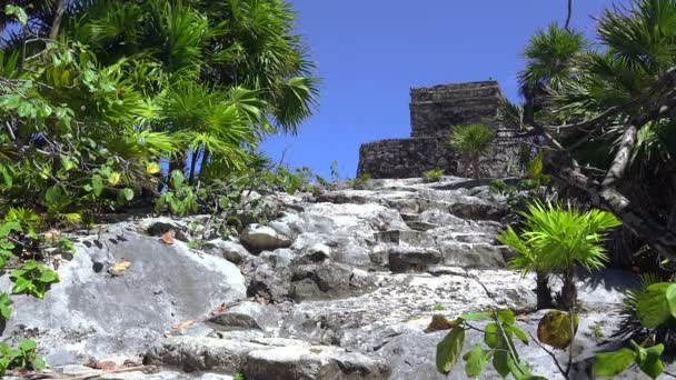 Maya ruïnes in mexico — Stockvideo