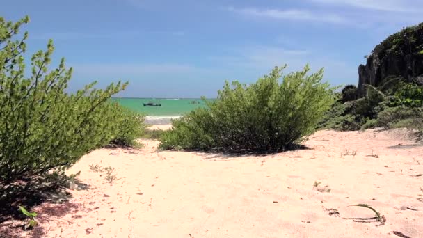 Barcos de buceo de arrecife que pasan por la costa — Vídeo de stock