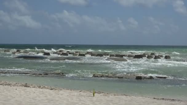 Arrecife protegiendo barricadas en la playa — Vídeos de Stock