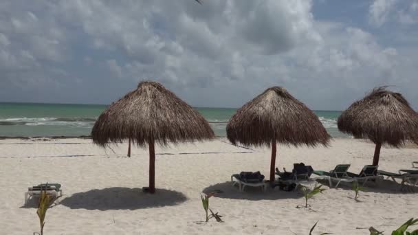 Tropical beach in Mexico — Stock Video