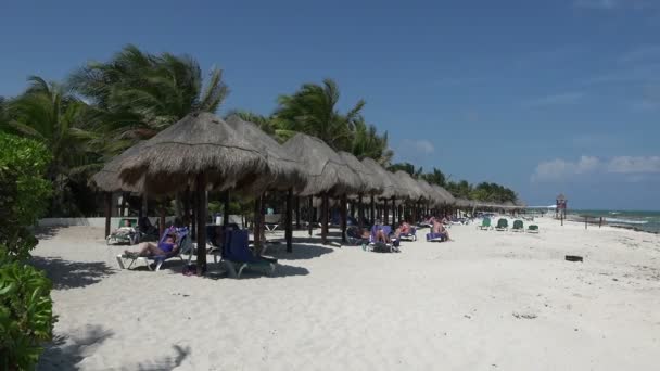 Plage tropicale au Mexique — Video