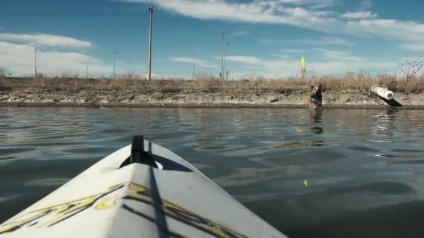 Dog Coming At Kayak — Stock Video