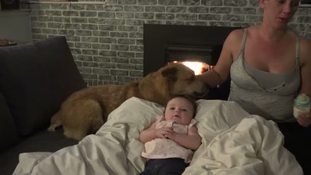 Mom walking away and baby with dog watching her — Stock Video