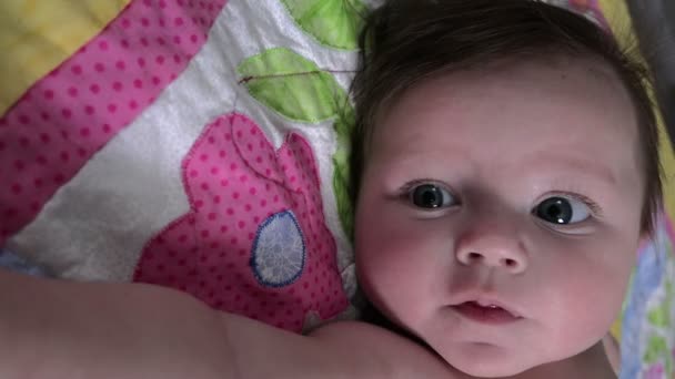 Baby på hemgjord filt — Stockvideo
