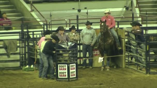 Cowboys versuchen ein Kalb abzuseilen, scheitern aber — Stockvideo