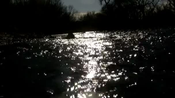 Atardecer en el arroyo — Vídeo de stock