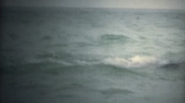 adam kelebek Yüzme açık su