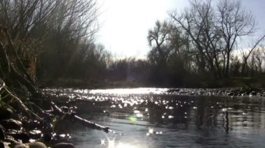 Su Creek uzaktan aydınlatma günbatımı