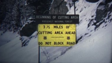 Colorado Noel ağacı olay