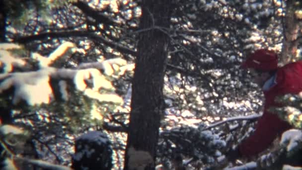 Weihnachtsbaum hacken — Stockvideo