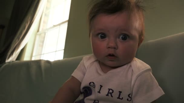 Bebek şelaleden — Stok video